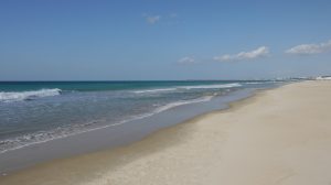el-palmar